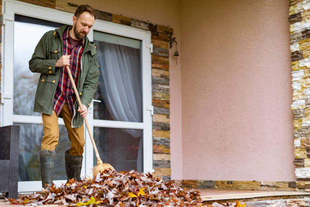 Best Office Junk Removal  in Lone Pine, CA